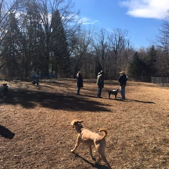 Talley Day Dog Park